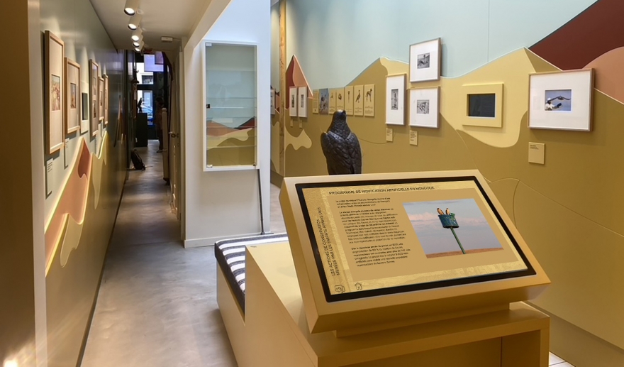 Musée international de la Fauconnerie